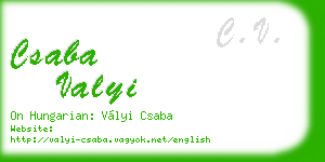 csaba valyi business card